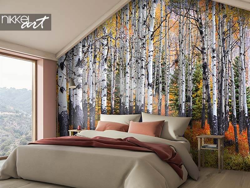 Wall murals Many Aspen trees in a forest during autumn time