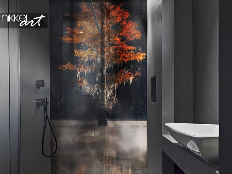 Fall color of cypress in swamp on acrylic badhroom splashbacks